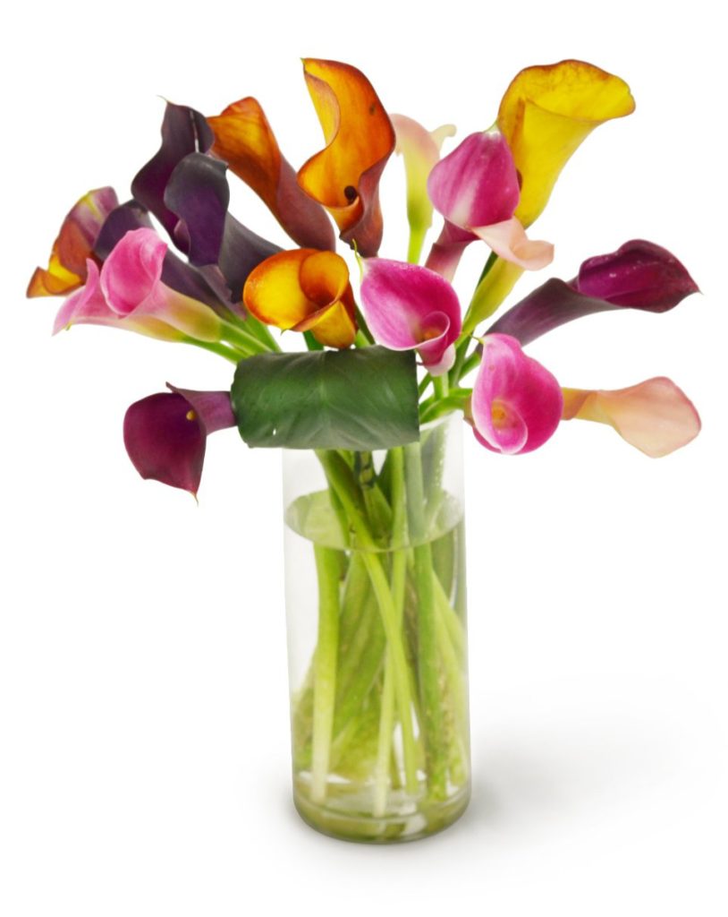 best flowers calla lilies