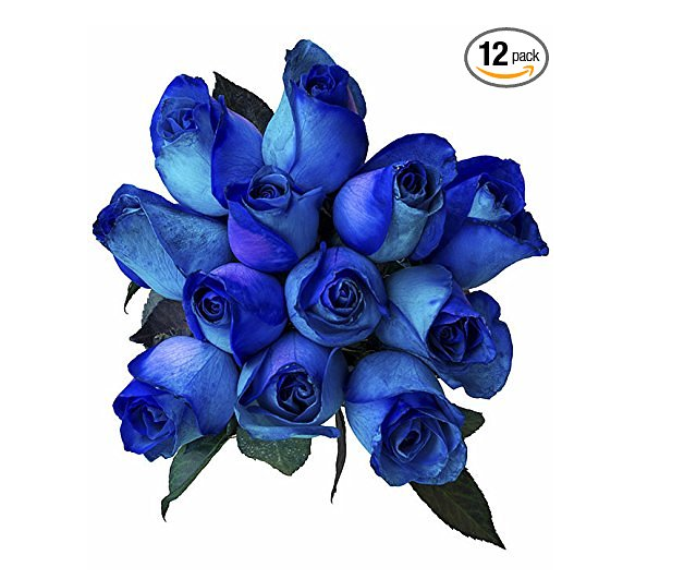 blue roses 2