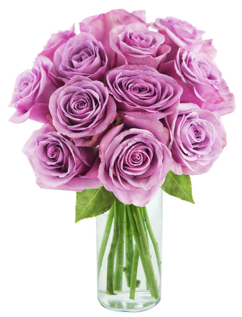 lavender purple roses