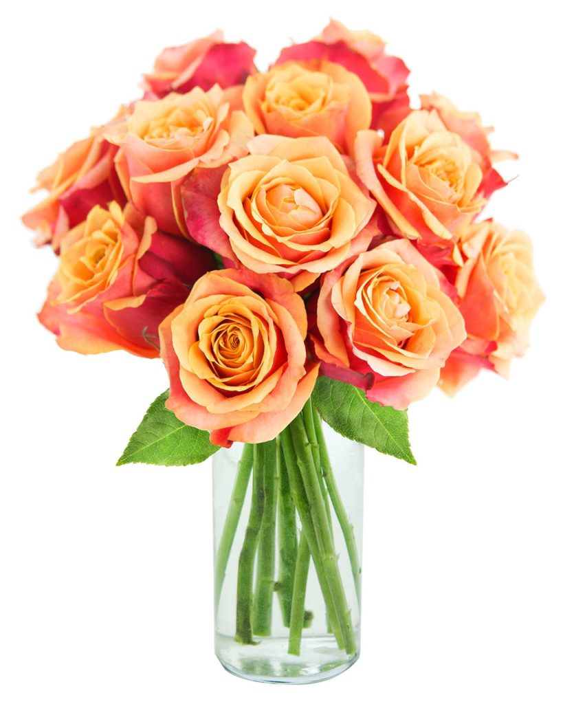 orange roses