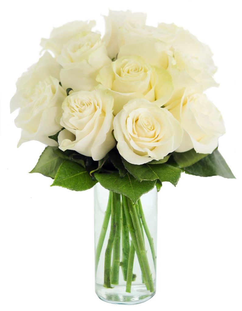 white roses