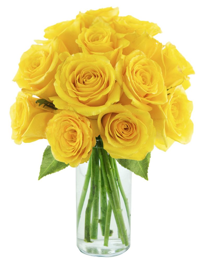 yellow roses